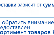 СКЭНАР-1-НТ (исполнение 02.2) Скэнар Оптима купить в Выксе, Аппараты Скэнар купить в Выксе, Медицинская техника - denasosteo.ru
